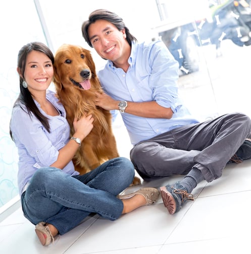 Happy couple taking their beautiful dog to the vet