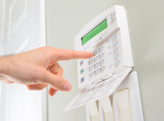 Security Systems Business Appraisal